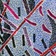 Галицкая Кира. «Красная зима» (фрагмент) :: Kira Galitskaya. «Red Winter» (fragment)